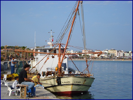 Harbour Harbour Altinkum Turkey